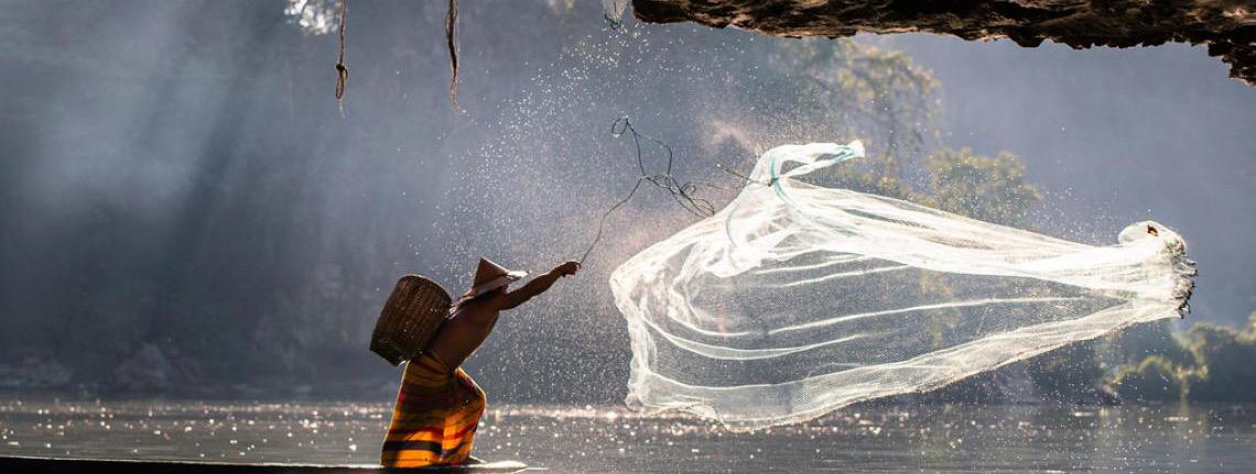 Países aceleram planos nacionais para travar perda de biodiversidade até 2030