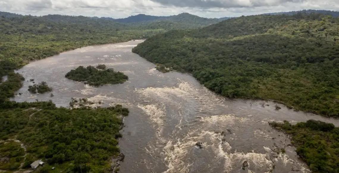 Pará dá passo decisivo para emitir créditos de carbono