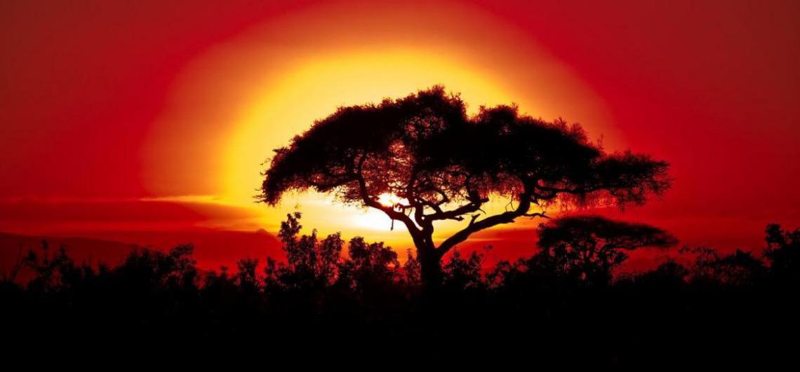 Organização Meteorológica confirma 2025 como um dos anos mais quentes