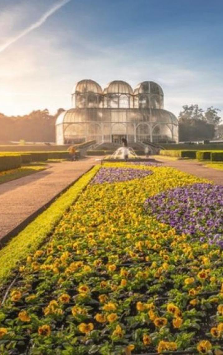Paraná: O encontro entre a força das águas, a natureza preservada e a gastronomia típica