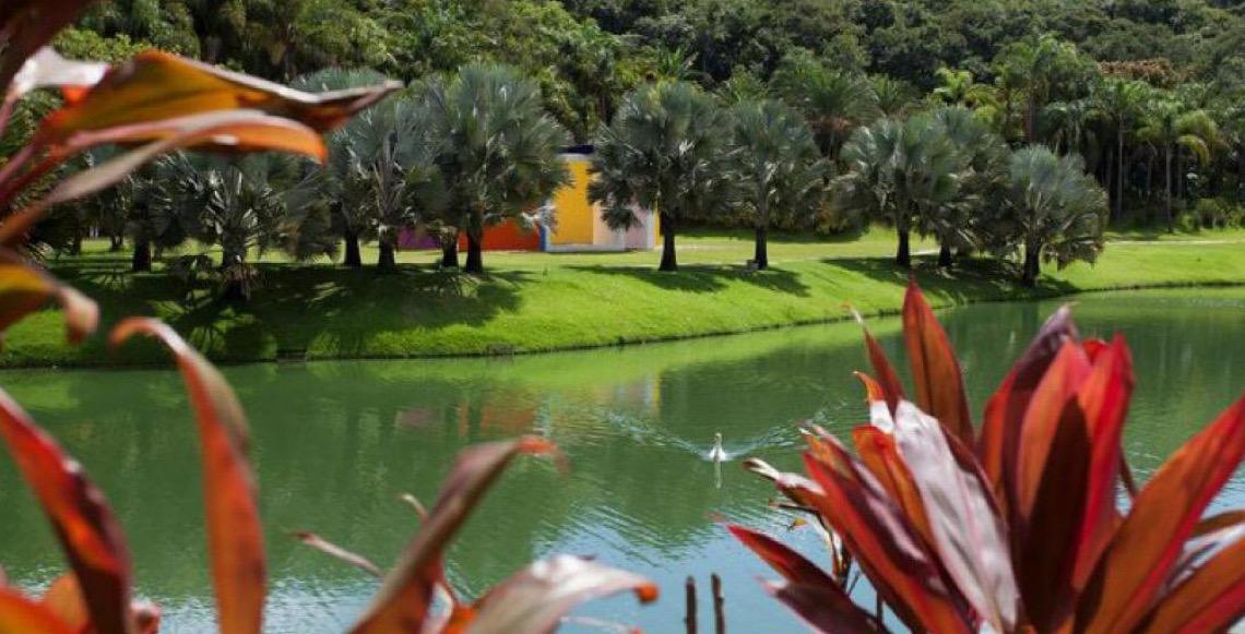 Inhotim aparece no The New York Times como um dos melhores destinos do mundo para conhecer