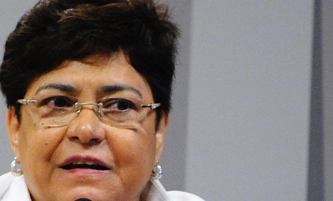 Por Maria José Rocha Lima - Zezé: Meu perfil, segundo o ChatGPT 