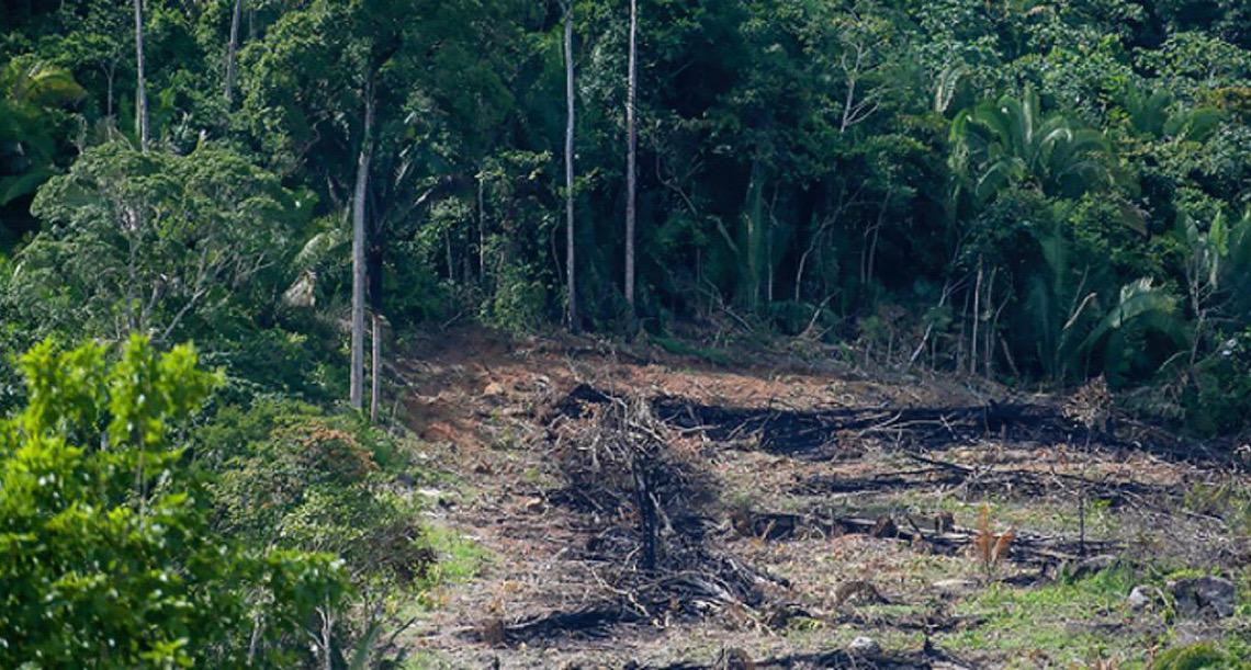 Mudanças climáticas na Amazônia estão levando a uma reformulação na saúde