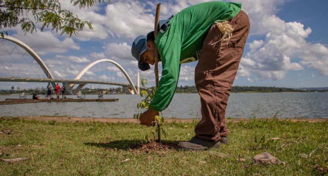 Propostas para o programa Recupera Cerrado II devem ser enviadas até o dia 30