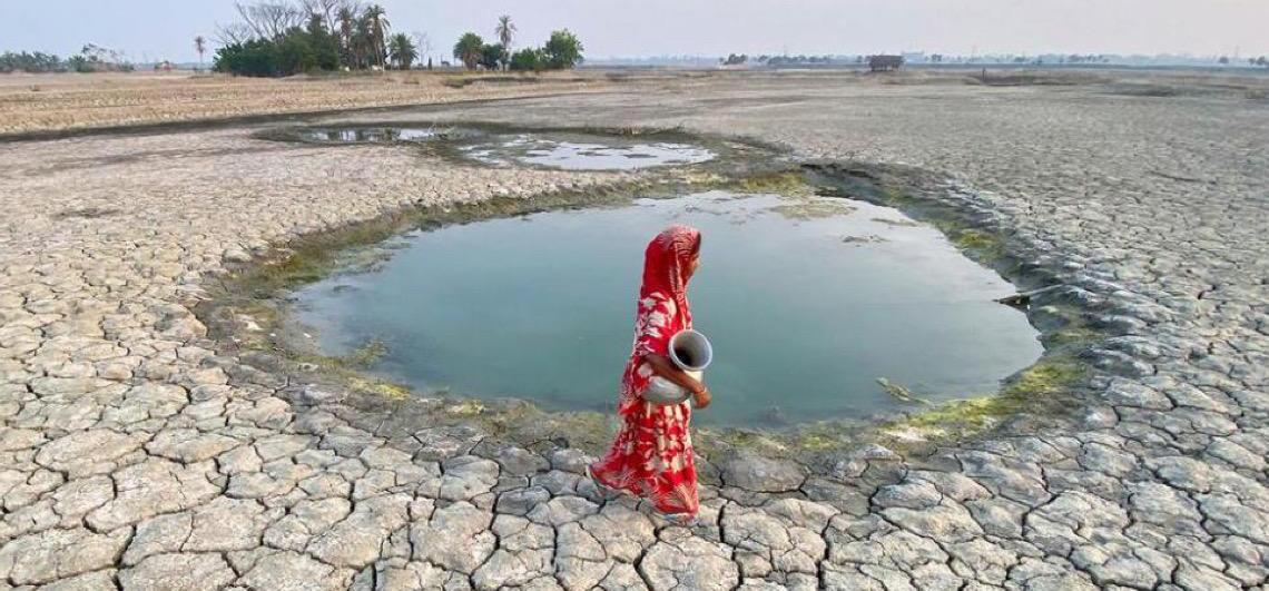 ONU: 2026 terá desequilíbrio crítico em fluxos financeiros para a natureza