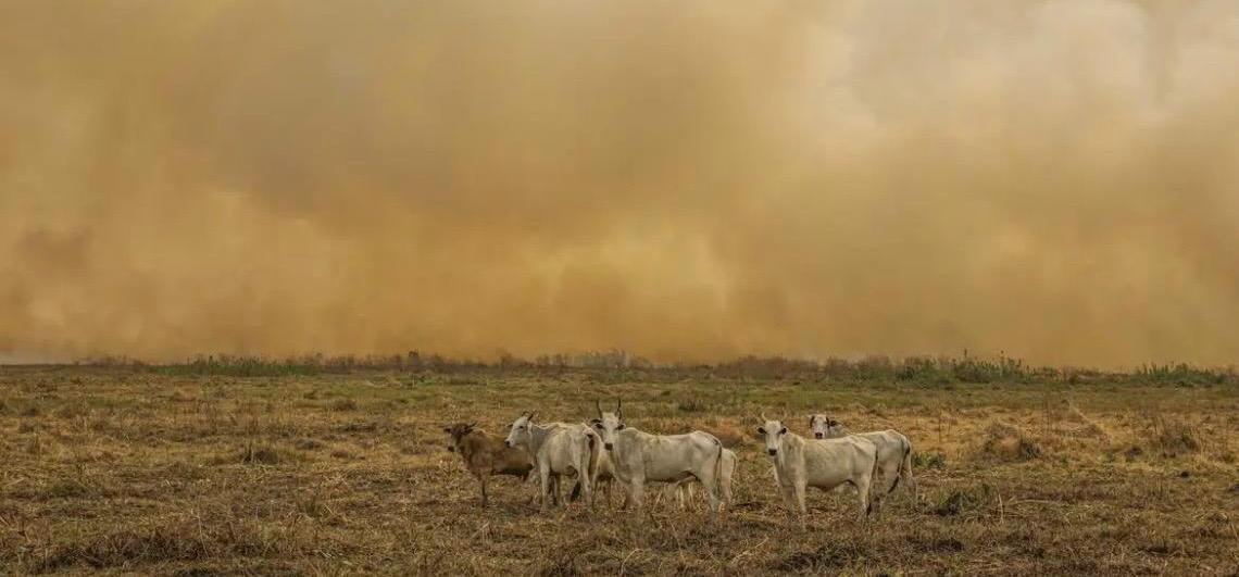 Janeiro tem número de focos de calor duas vezes maior que a média