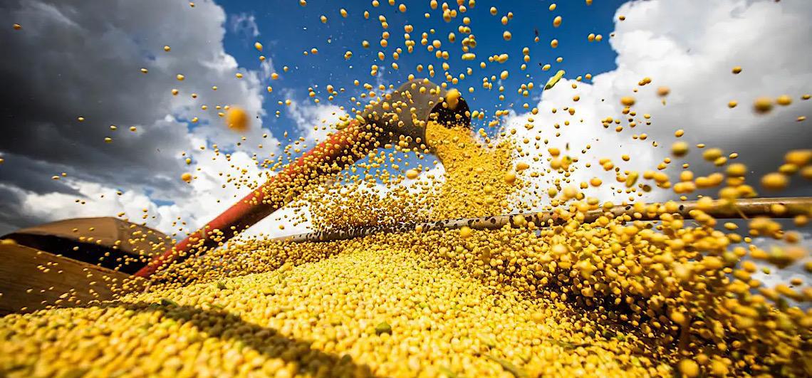 Supermercados europeus dão ultimato a tradings que deixaram a moratória da soja