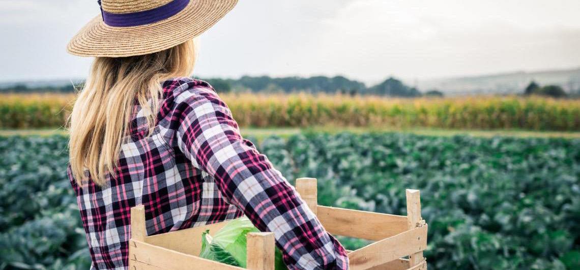 Projeto Mulheres no Campo abre 100 vagas de qualificação profissional em Brazlândia, no DF