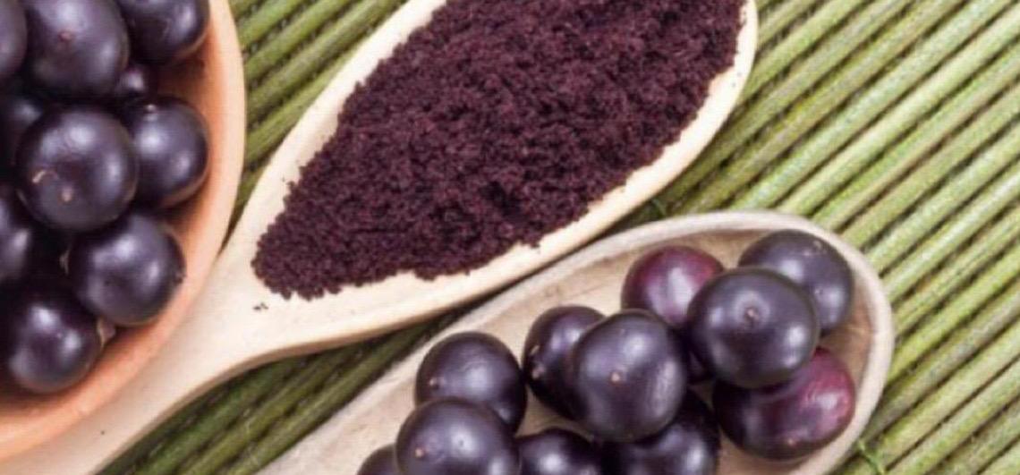 Típicas da amazônia, culturas do açaí e do cacau se adaptam ao clima do interior paulista