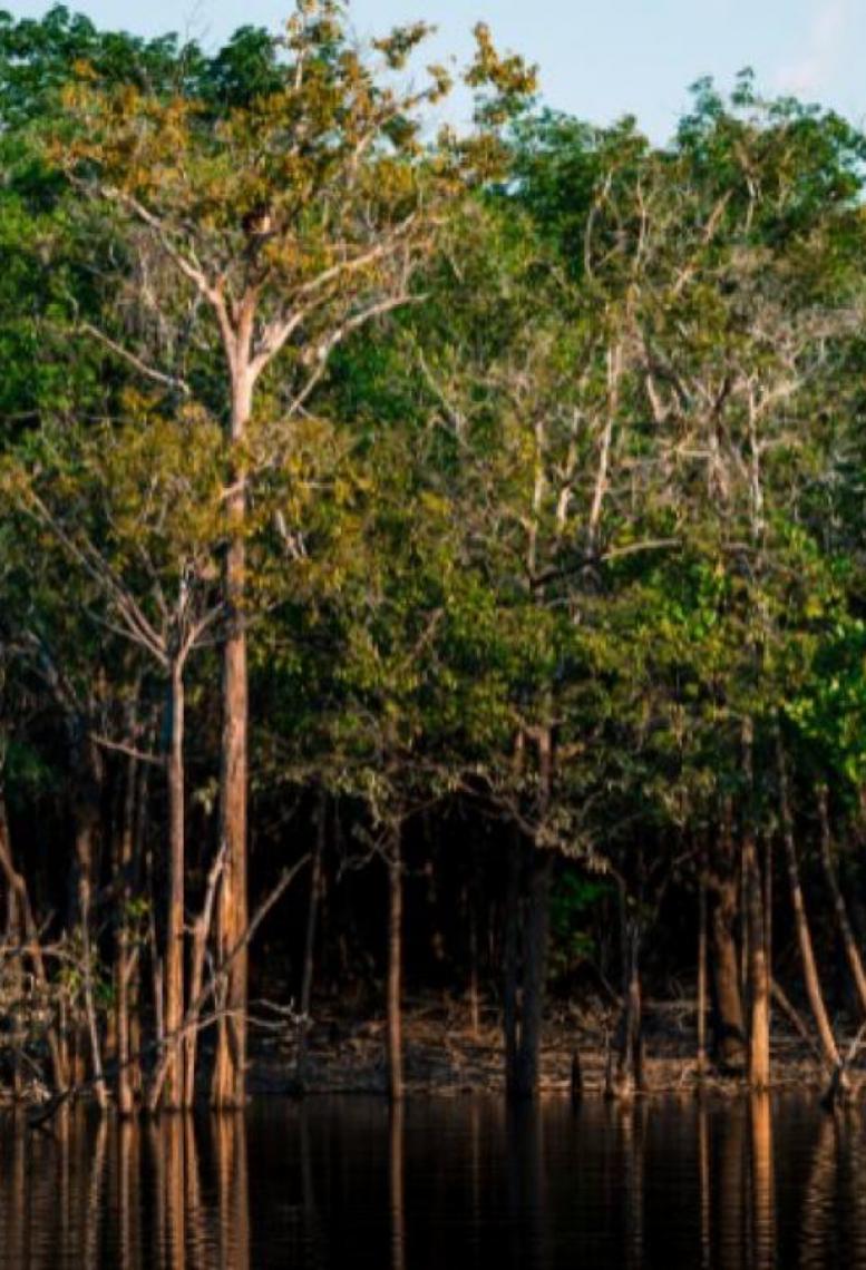 No Dia Mundial das Áreas Úmidas, ICMBio destaca os desafios para a conservação desses ecossistemas