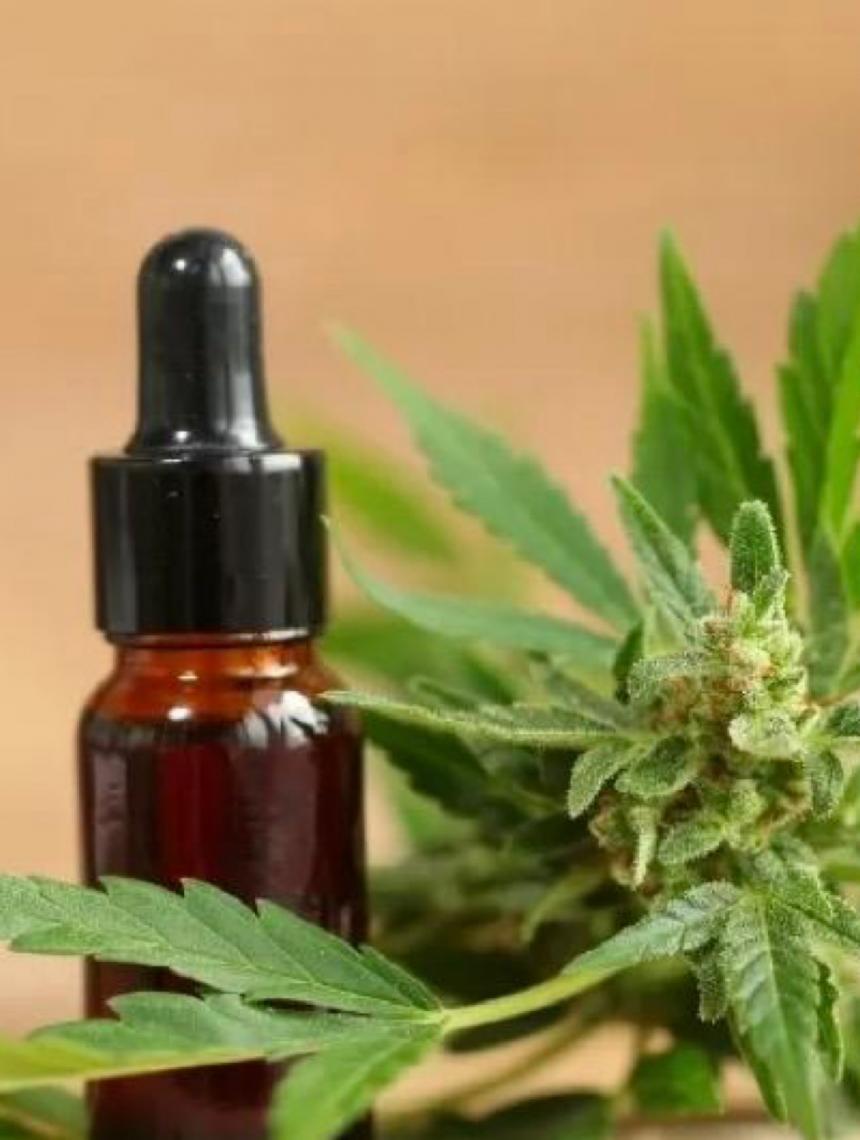 Anvisa publica no Diário Oficial as novas regras para produção de cannabis medicinal