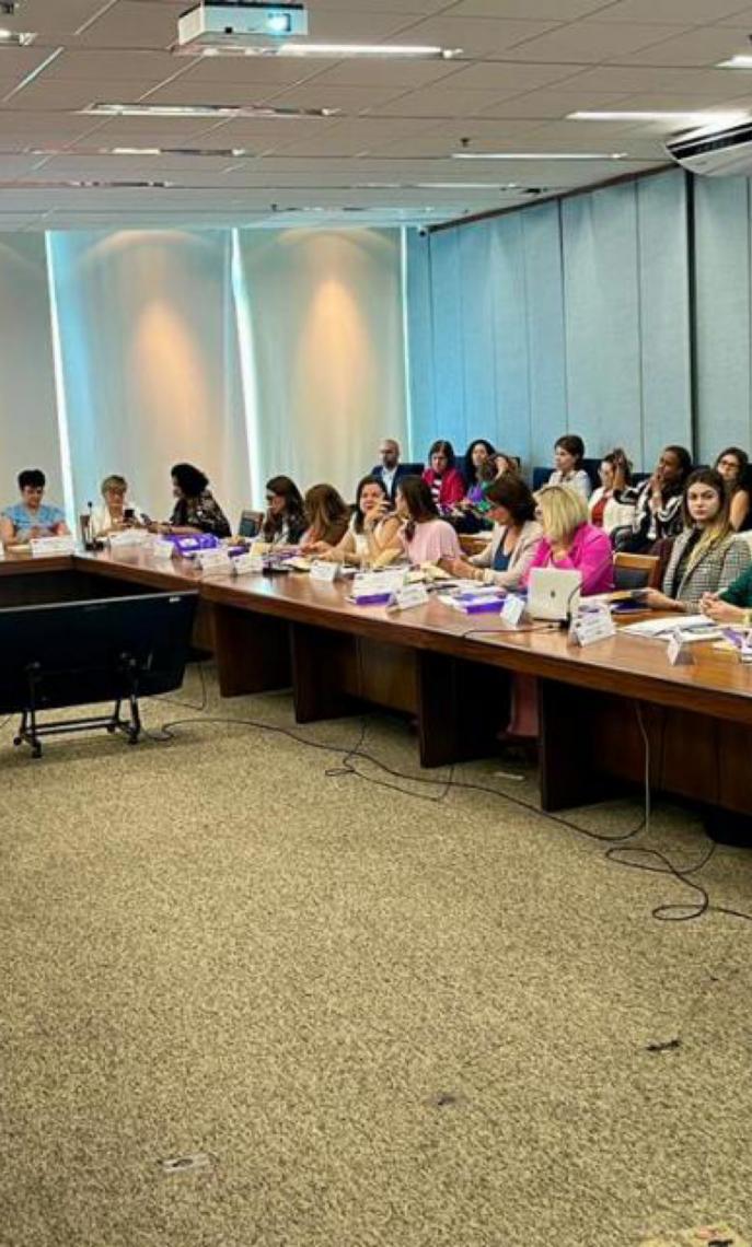 DF apresenta avanços nas políticas para as mulheres em reunião com gestoras estaduais