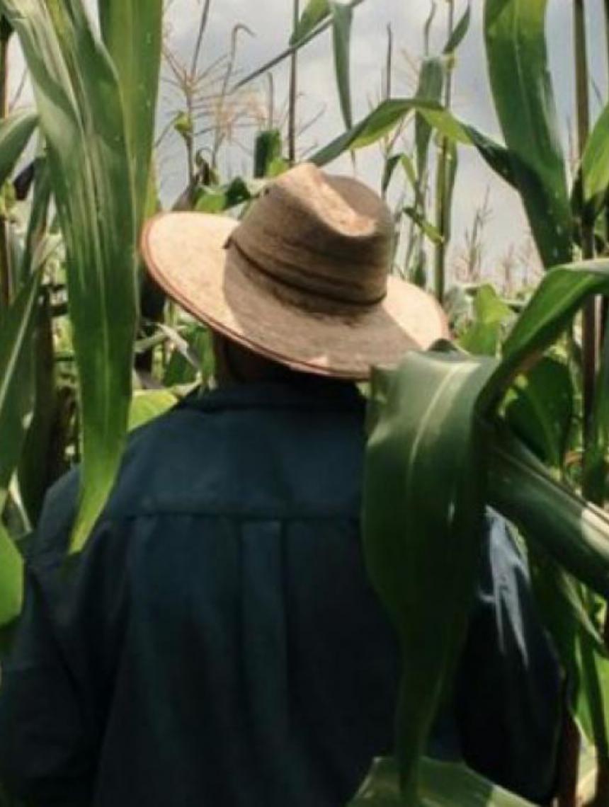 Ministério do Trabalho informa que é falsa norma que obriga trabalhador rural a trocar chapéu por capacete