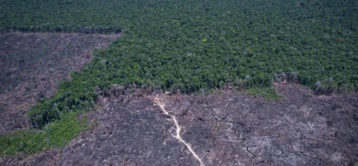 Amazônia Legal: Desmatamento prevalece em torno de áreas protegidas