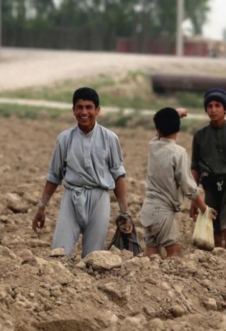 Comunidade global quer eliminar trabalho infantil abordando as causas profundas