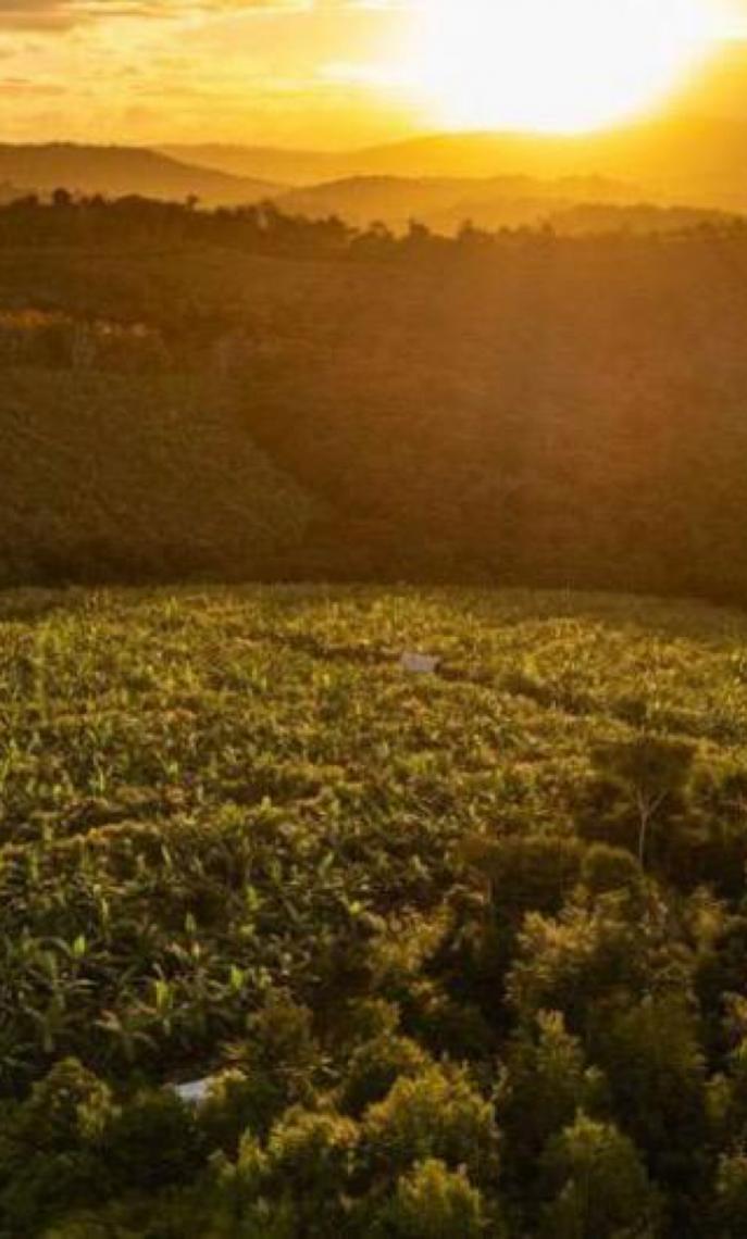 Brasileira ajuda a reinventar crescimento urbano com “agrihoods”, o bairro do futuro