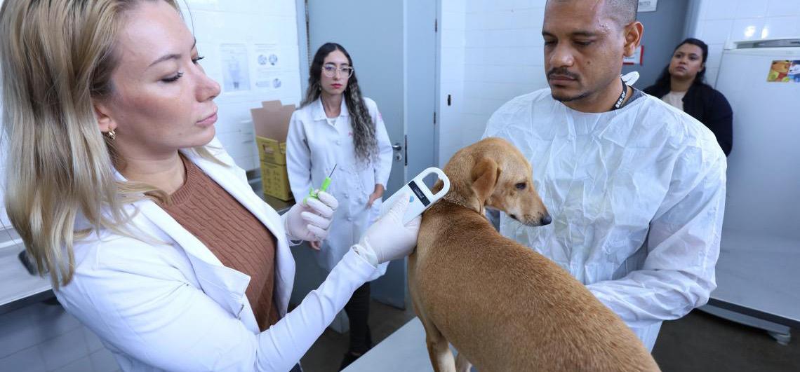 Bloco de Carnaval infantil de Brasília terá microchipagem e vacinação gratuita para cães