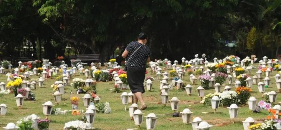 Cães e gatos podem ser sepultados em jazigos familiares em todo o estado de São Paulo