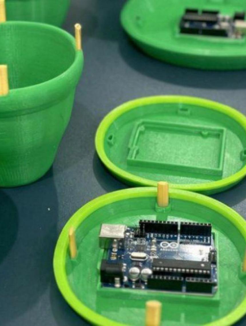 Startup do Tocantins desenvolve armadilha de controle biológico do mosquito da dengue