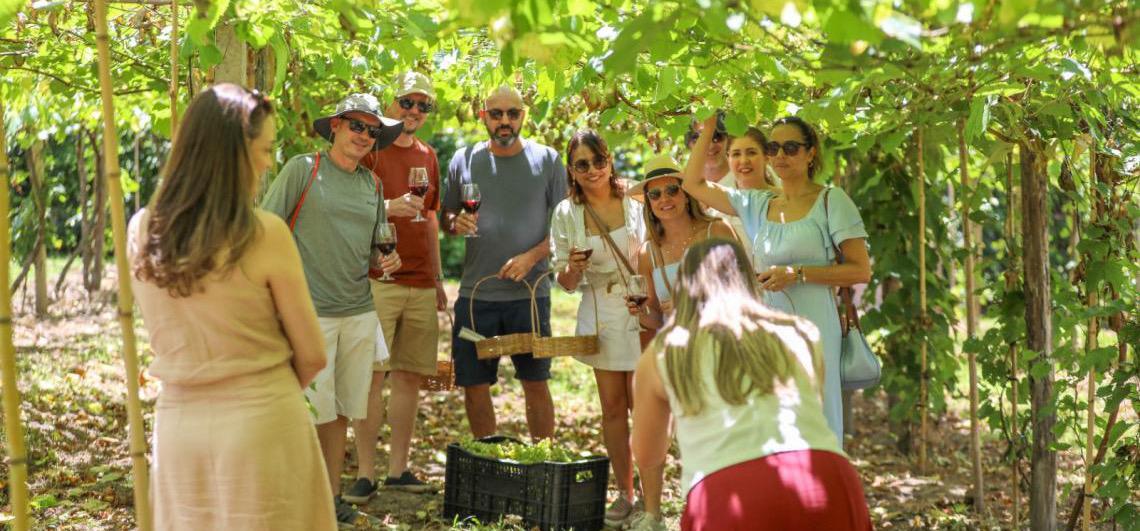Rota das Uvas transforma Brasília em destino de enoturismo e vira alternativa à folia durante o Carnaval