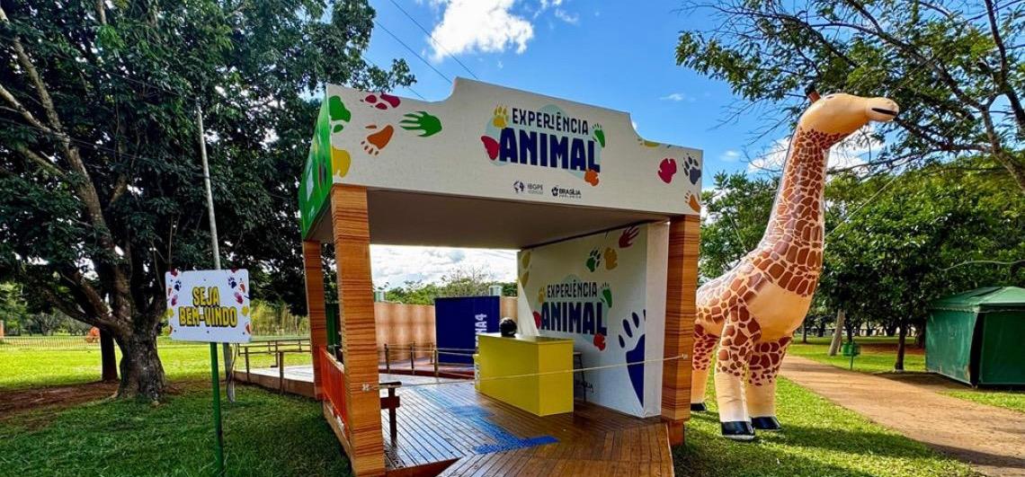 Exposição imersiva convida visitantes a sentir a vida selvagem no Zoológico de Brasília