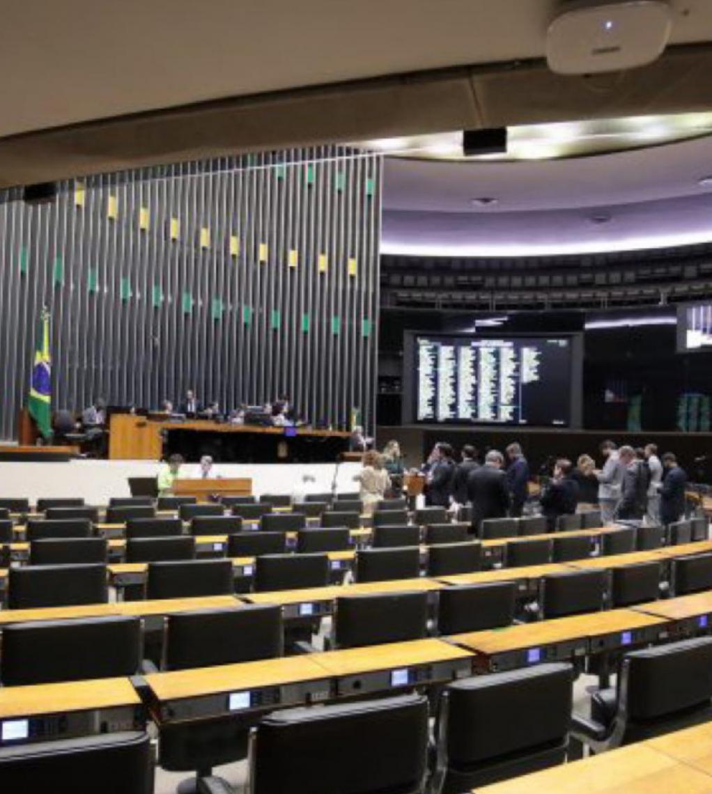 Deputados federais são pouco engajados em pauta da igualdade racial, diz estudo realizado