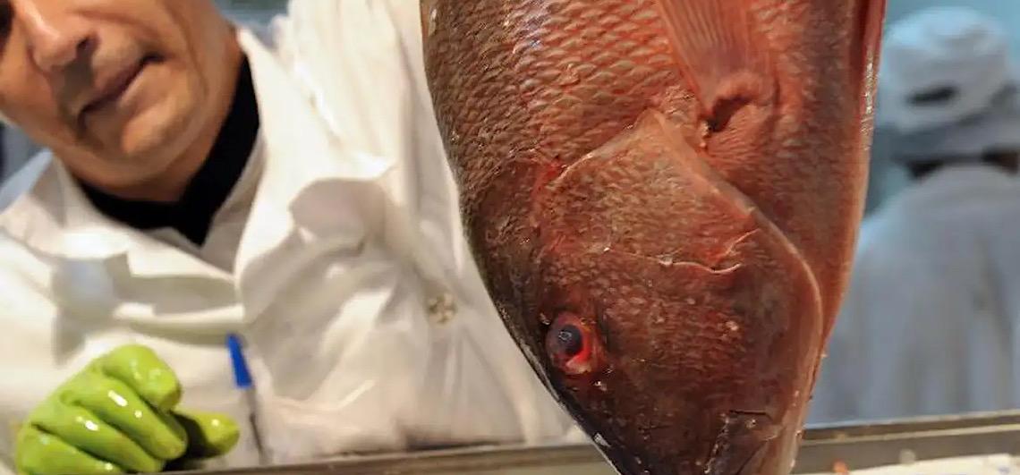 Já está valendo no Brasil: Selo Pesca Artesanal que garante origem aos pescados da pesca artesanal