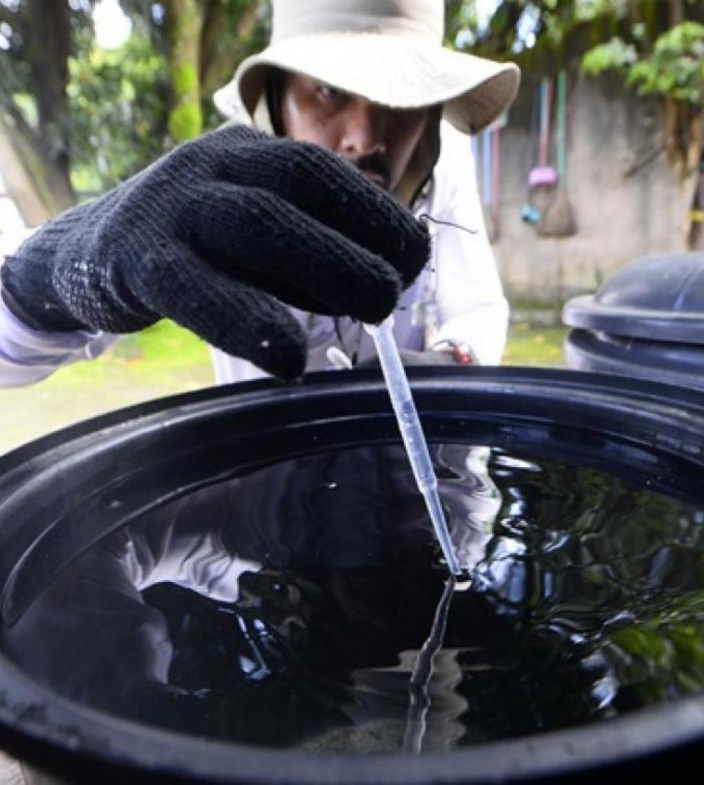 Vigilância ambiental: Período chuvoso no Distrito Federal exige atenção redobrada contra a dengue