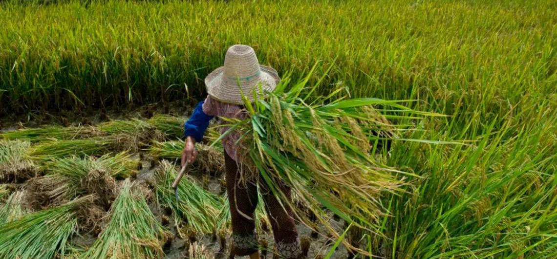 Promulgado protocolo da OIT contra trabalho forçado