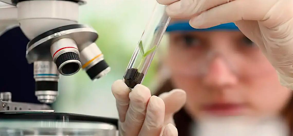 Observatório lança edital do programa Meninas Cientistas do ON