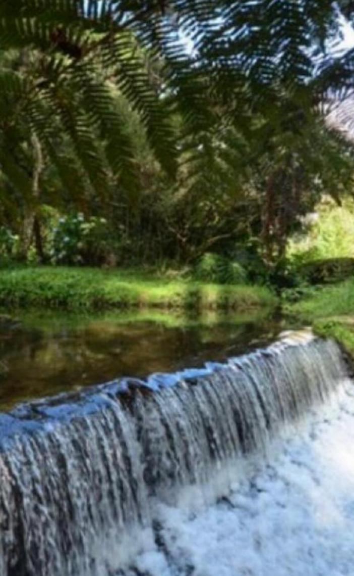 Destinos friozinhos no Brasil: Refúgio perfeito para quem quer escapar do calor do Verão