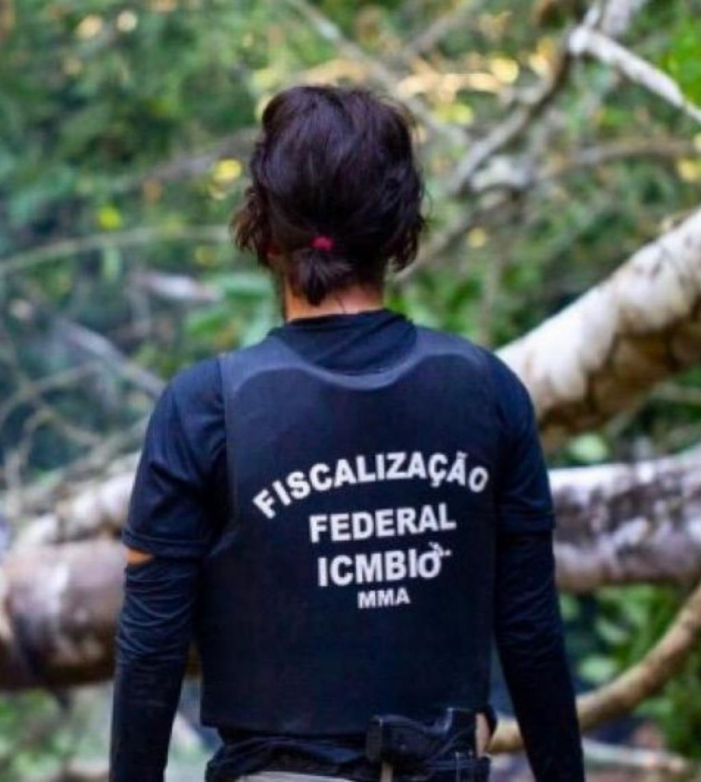 Desmatamento e violência caminham juntos: A fiscalização pode quebrar esse ciclo