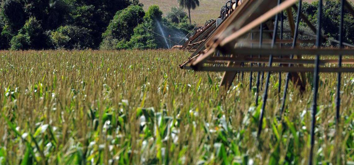 Projeto Mulheres no Campo abre 100 vagas destinadas a qualificação profissional