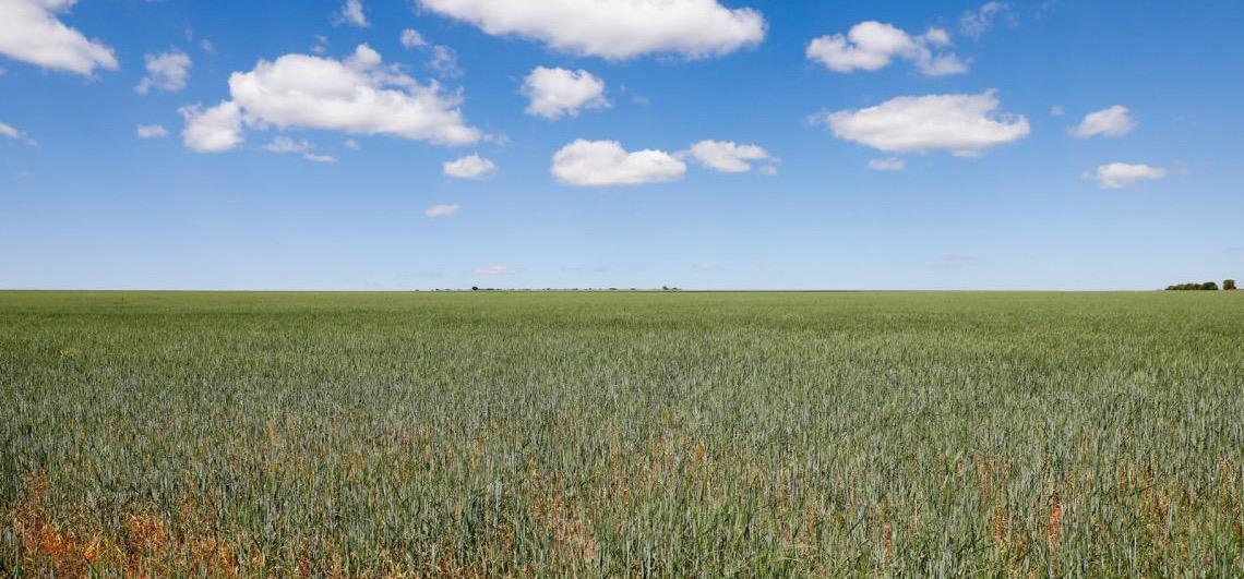 Boletim do Comércio Exterior do Distrito Federal mostra aumento nas transações internacionais em 2025