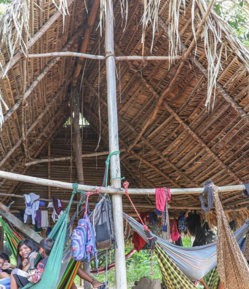 Povo Parakanã, do Pará, reocupa território após retirada de invasores  