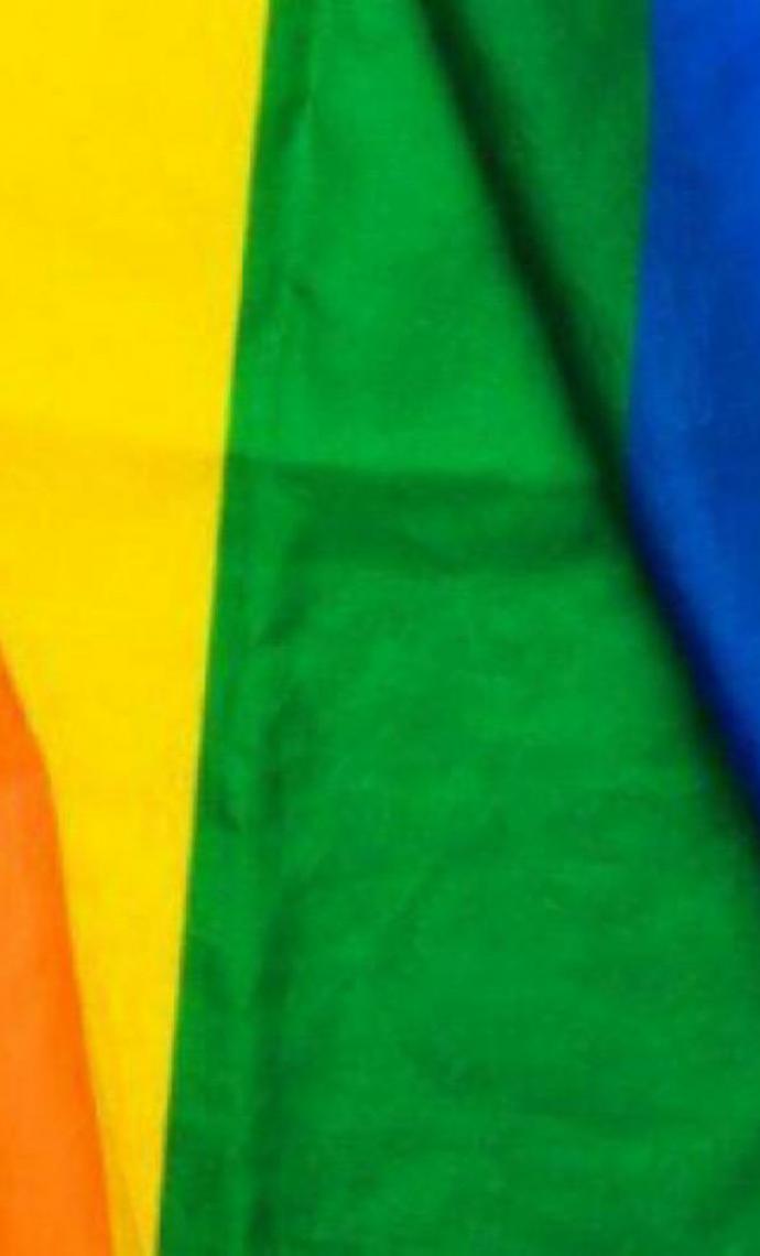 União, estados e municípios alinham estratégia para implementar a Política Nacional LGBTQIA+