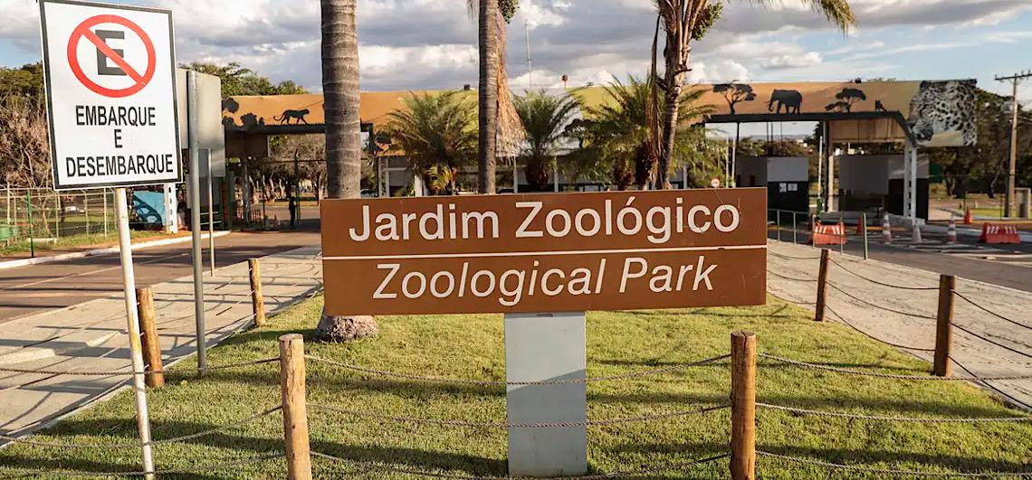 Jardim Zoológico de Brasília abre seleção para voluntários sociais e profissionais