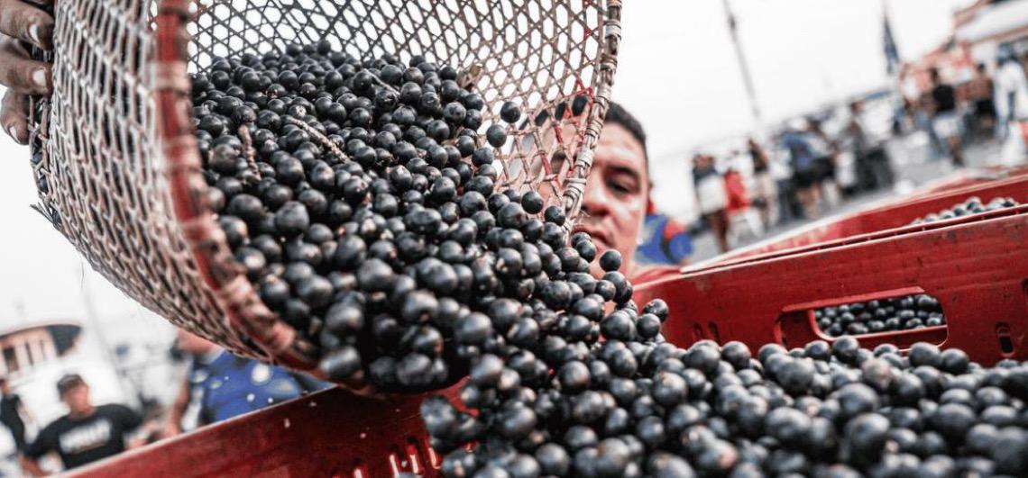 Região da América Latina reduz fome, mas ainda sofre com obesidade e dietas precárias