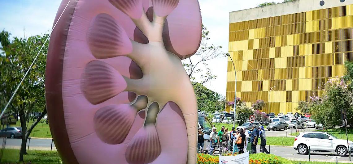 Lembrado nesta quinta, Dia Mundial do Rim: Doenças renais são silenciosas e exigem atenção 