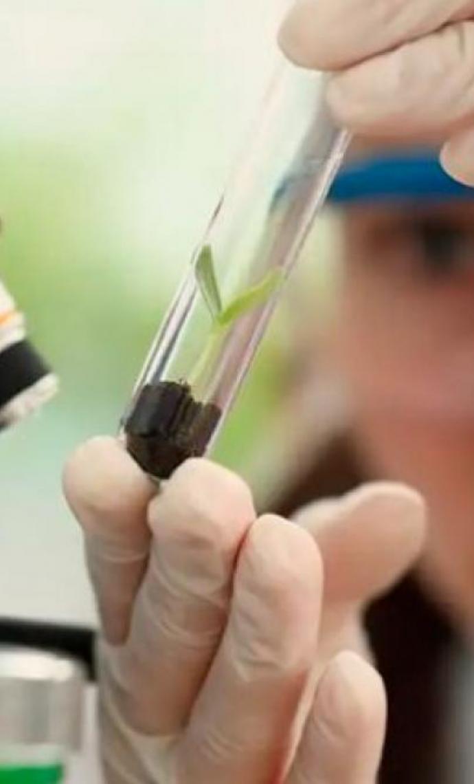 Ministra Margarida Balseiro Lopes, em Portugal quer mais igualdade salarial para mulheres que atuam em áreas da ciência