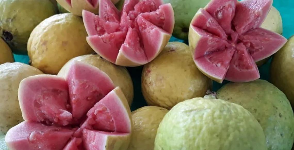 Feiras da Goiaba, da Uva e do Morango têm edições de 2026 lançadas oficialmente no Distrito Federal