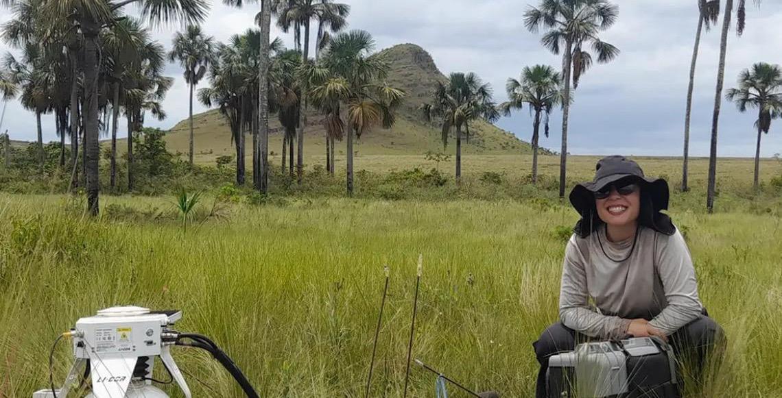 Estudo publicado na revista New Phytologist indica que Cerrado pode armazenar mais carbono que Amazônia