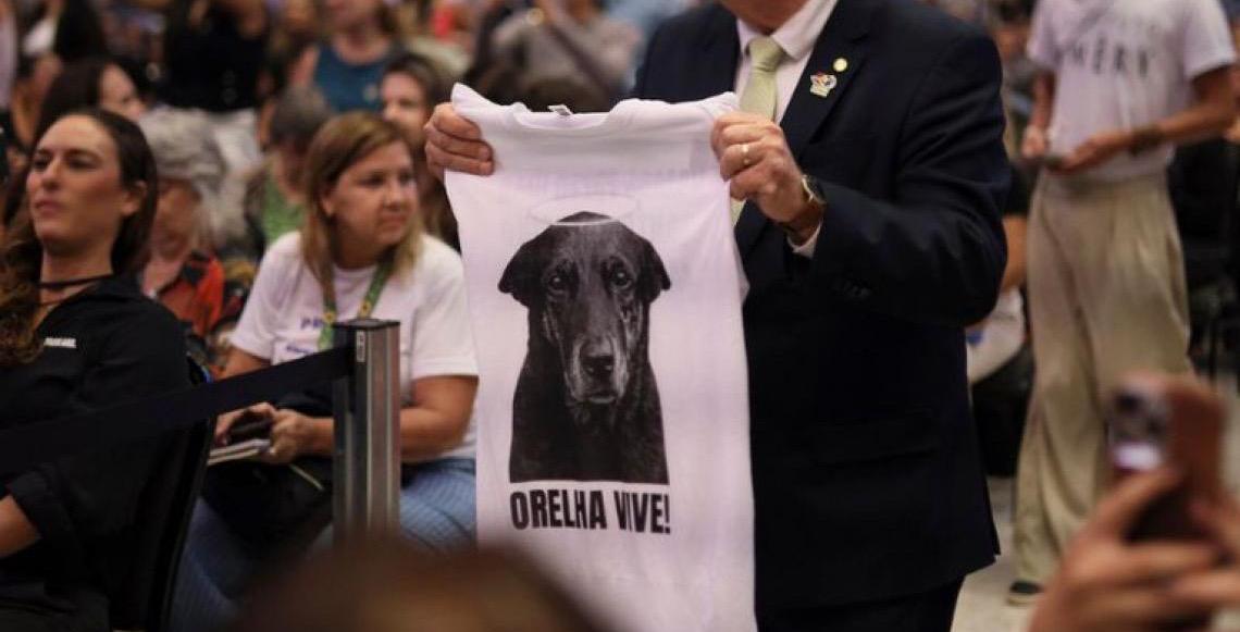 Governo do Brasil publica decreto que aumenta multas por maus-tratos contra animais