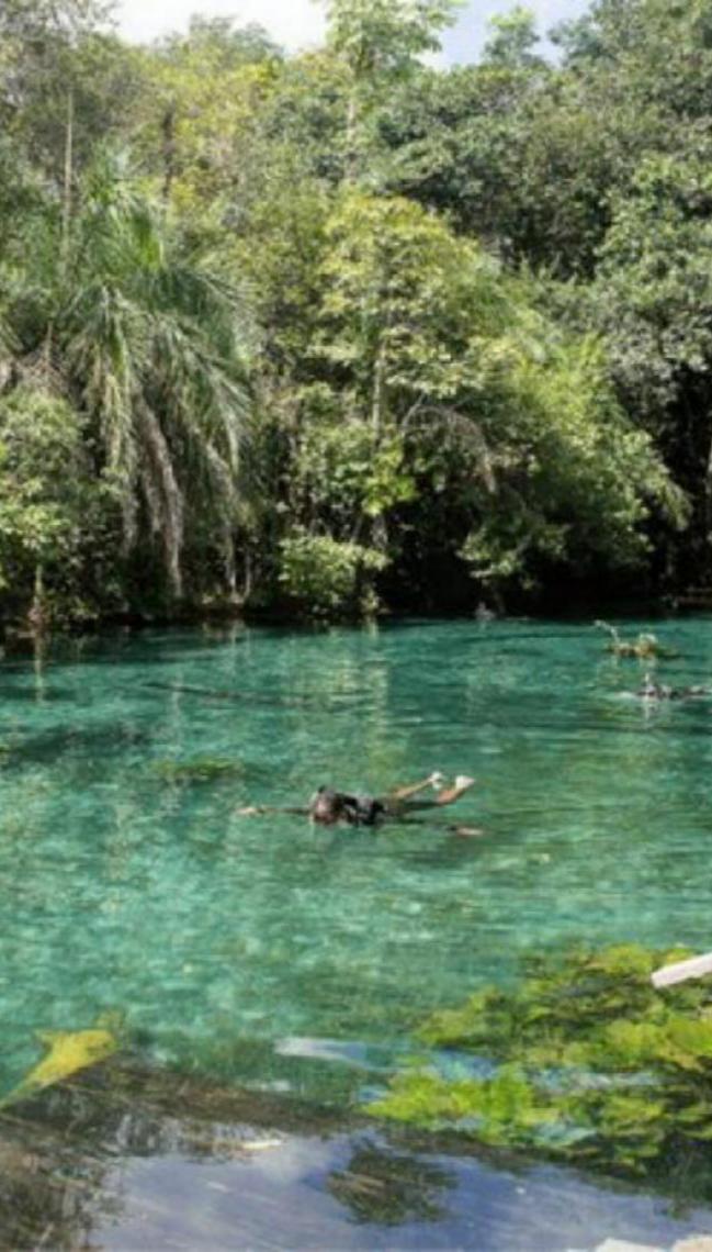 Bonito, o paraíso das águas cristalinas para refrescar os dias mais quentes do ano