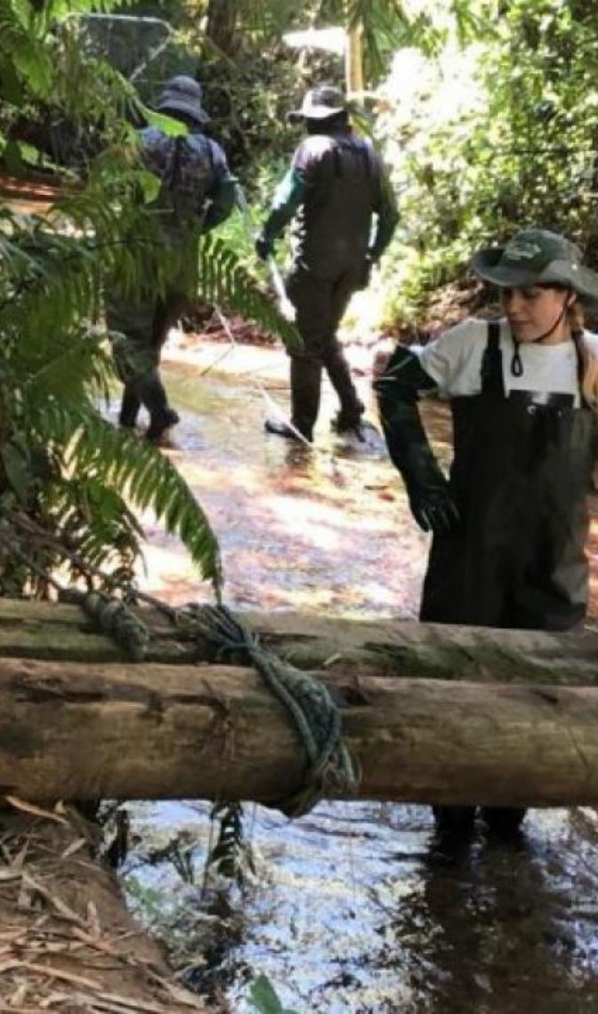 Mulheres na ciência: Pesquisadoras fortalecem a biodiversidade no ICMBio