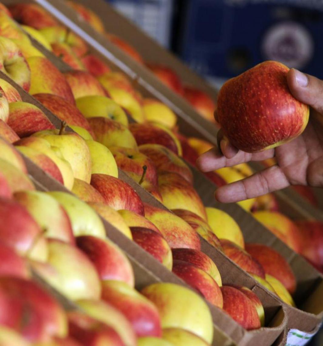 Consumo de ultraprocessados no Distrito Federal diminui, mas índices continuam elevados