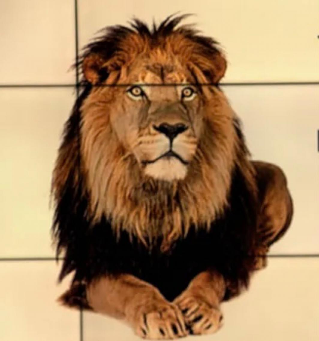 Restituição rápida, cashback e ganhos com bets. Confiras as novidades do IRPF 2026