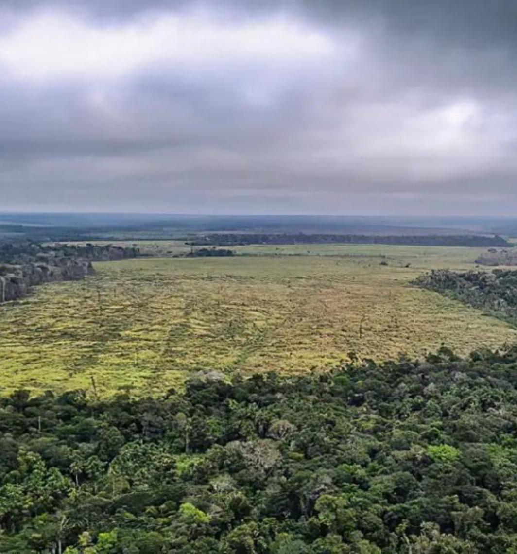 Emissões de gases de efeito estufa no Brasil caem em 2024, mas meta climática segue em risco