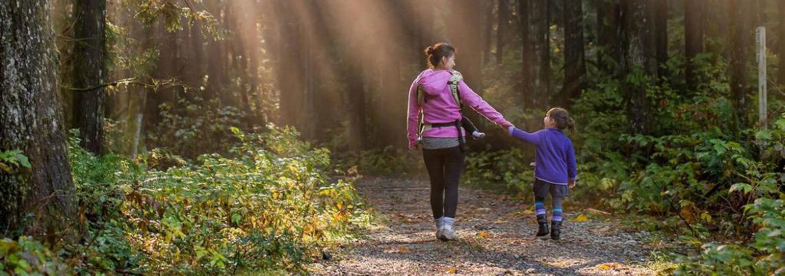 Organização das Nações Unidas marca Dia Internacional das Florestas focando em economia