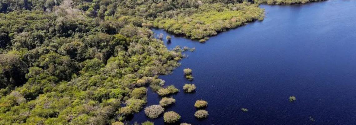 Estudo aponta redução de 30% no desmatamento em áreas da Amazônia atendidas pelo Bolsa Verde